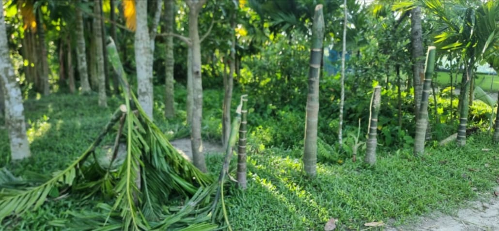 নেত্রকোনায় জমি নিয়ে বিরোধের জেরে স্বর্ণালংকার ছিনতাই, ভাঙচুর