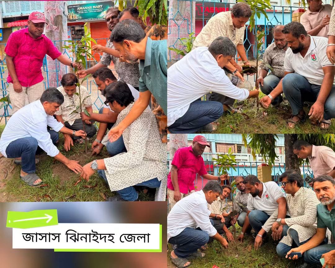 ঝিনাইদহে জেলা জাসাসের উদ্যোগে বৃক্ষরোপণ কর্মসূচি অনুষ্ঠিত