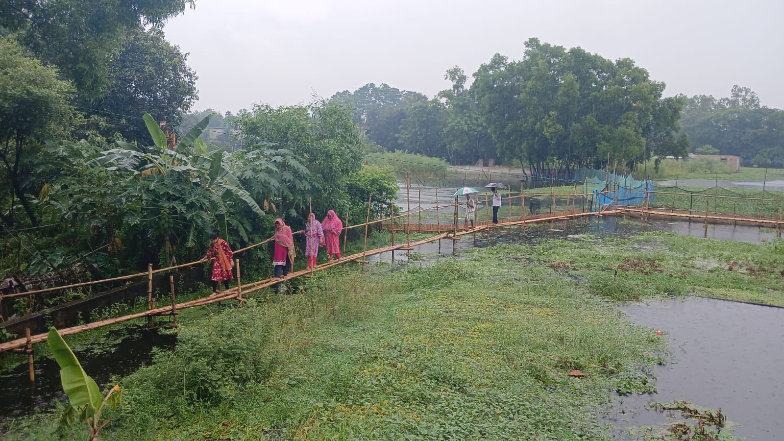 গাজীপুর পুবাইলে বৃষ্টির পানিতে তলিয়ে যাওয়া সড়কে বাঁশের সাঁকো: দুর্ভোগ কমাতে বিএনপি নেতা জাকির সরকারের উদ্যোগ