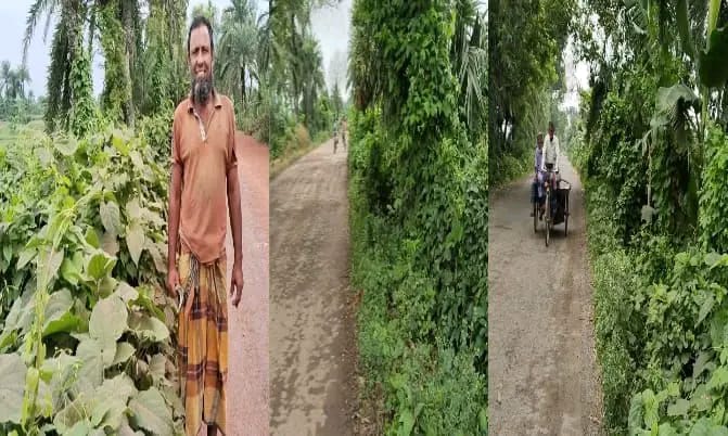 কোটচাঁদপুর–সাফদারপুর সড়কজুড়ে আগাছা ও ঝোপঝাড়ে ঝুঁকিতে পথচারী!