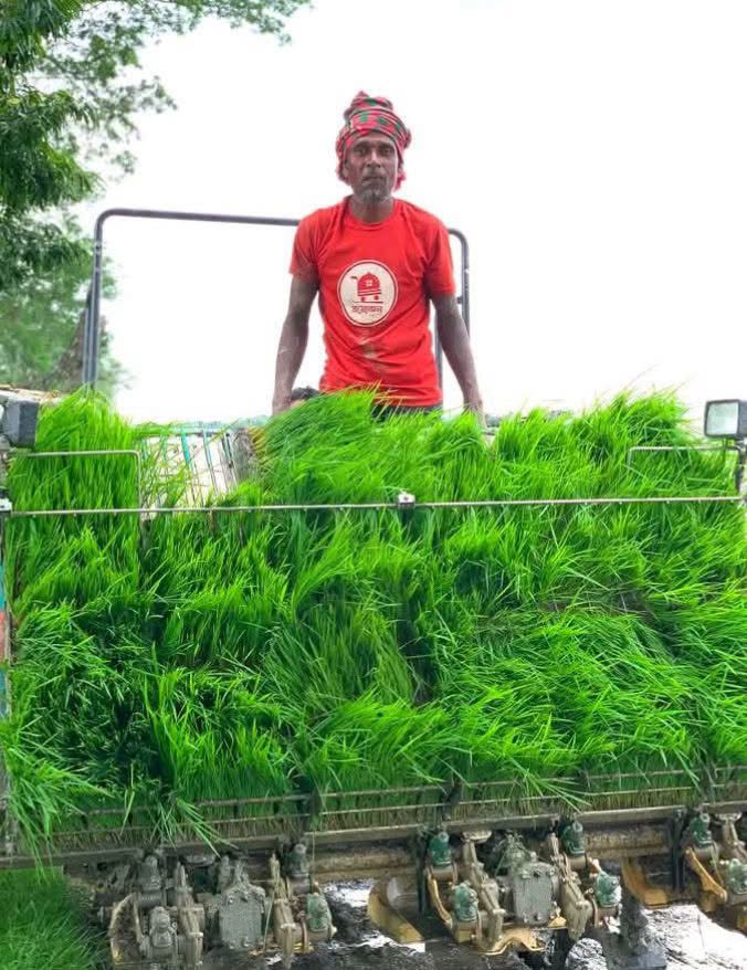 ঝিনাইদহের মহেশপুর দত্তনগর কুশোডাঙ্গার ফার্মের চিত্র—আধুনিক প্রযুক্তির ছোঁয়ায় বদলে যাচ্ছে কৃষির সোনালী রূপ!