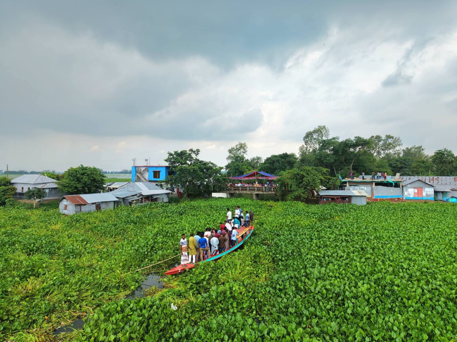সিংড়ার চলনবিলে জলাবদ্ধতা নিরসনে কচুরিপানা পরিষ্কার কর্মসূচির উদ্বোধন 