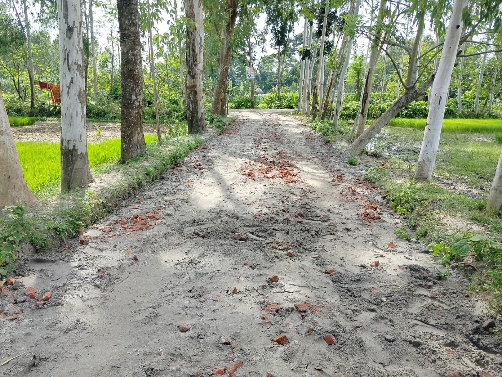 সাঘাটায় এলজিইডি’র রাস্তার কাজে শুভঙ্করের ফাঁকি