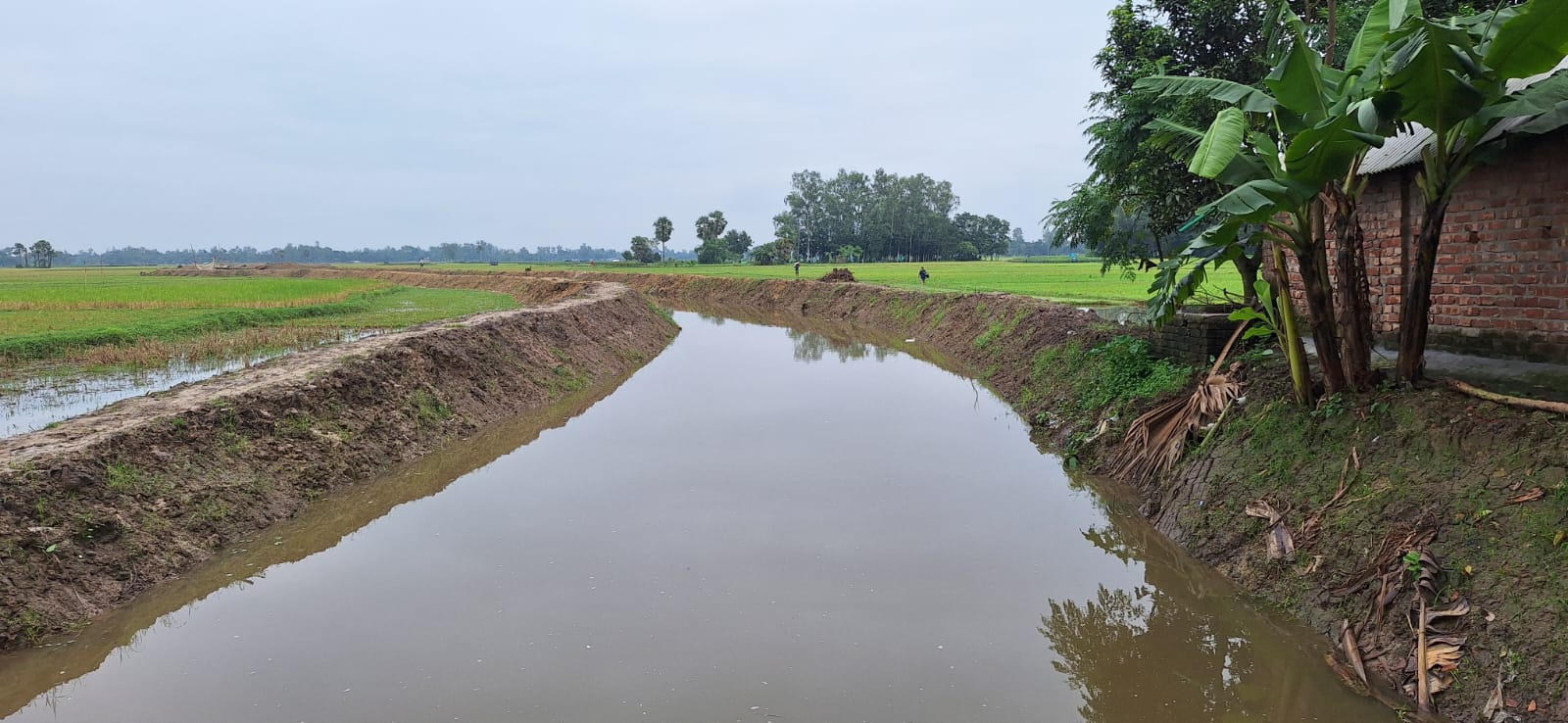 আদমদীঘিতে খাল খননে বদলে গেল কৃষিচিত্র