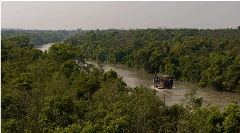 প্রথমবারের মতো খাদ্য সহায়তায় স্বস্তিতে