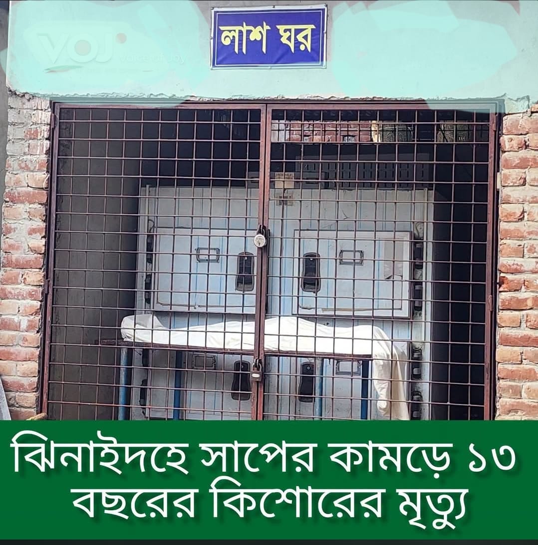 সাপের কামড়ে কিশোরের মৃত্যূ