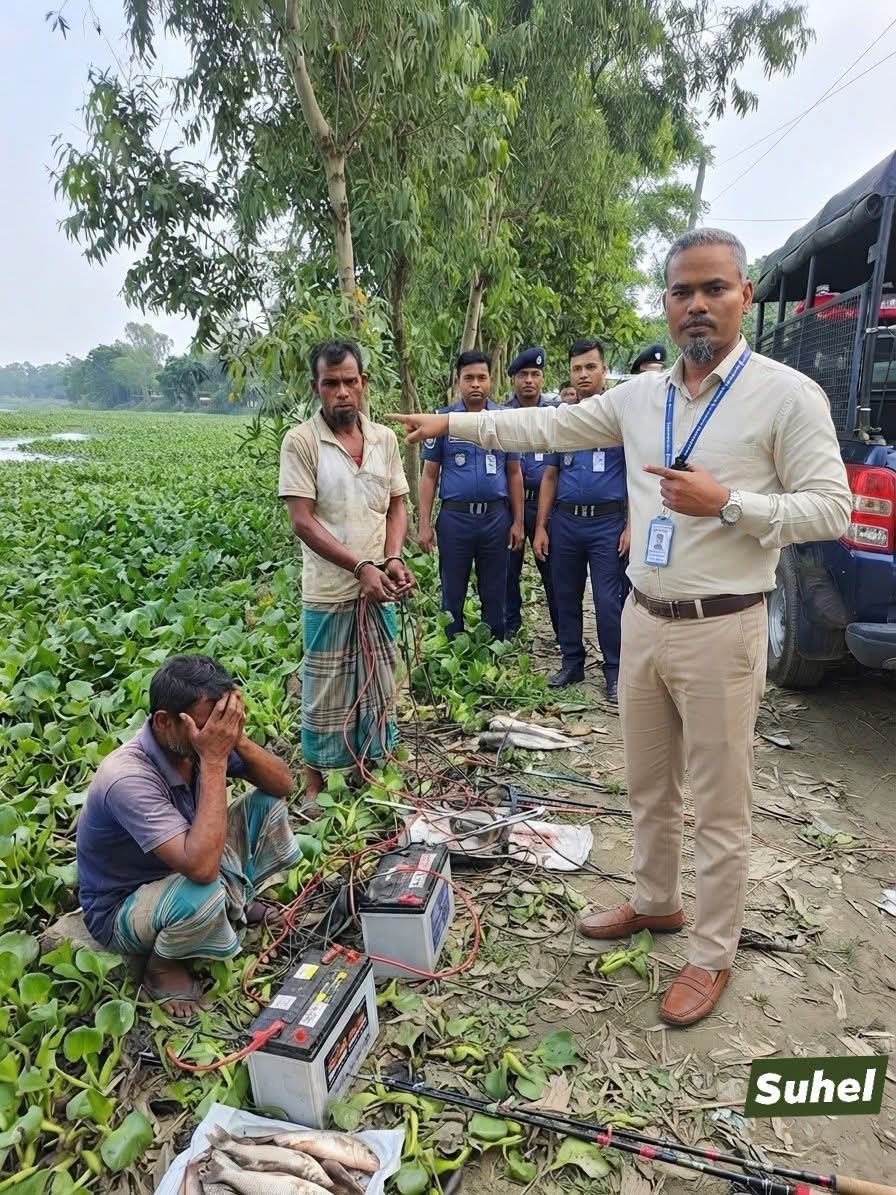 ব্যাটারি-ইনভার্টারে অবলীলায় ধ্বংস হচ্ছে জলজ প্রাণ