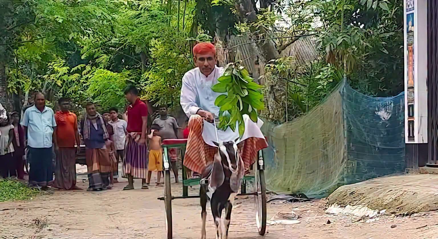 ছাগলে টানা গাড়ি : কৌতূহল নাকি প্রাণী নিষ্ঠুরতা?