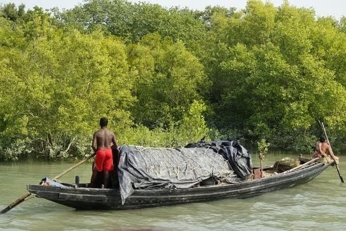 সুন্দরবনে বনদস্যু‘র তাণ্ডব: ট্রলারসহ ৫ জেলে…