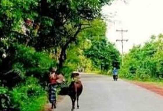 কিশোর গ্যাং এ জীম্মি ও মাদক সন্ত্রাসে একাকার গ্রামটি