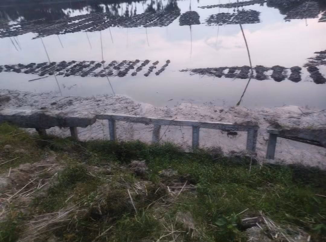 ৩ মাসেই ধসে পড়ল ১২ লাখ টাকার প্যালাসাইডিং