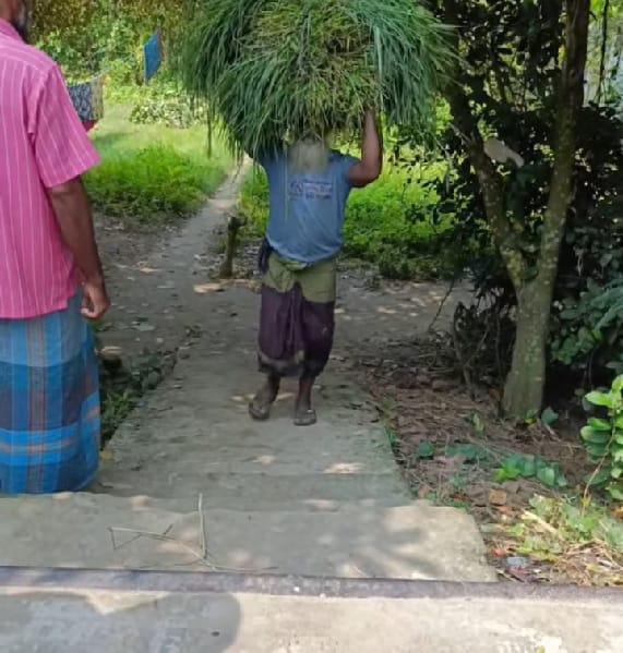 নবীনগরে ব্রিজ আছে, নেই সংযোগ সড়ক—ভোগান্তিতে তিন ইউনিয়নের মানুষ